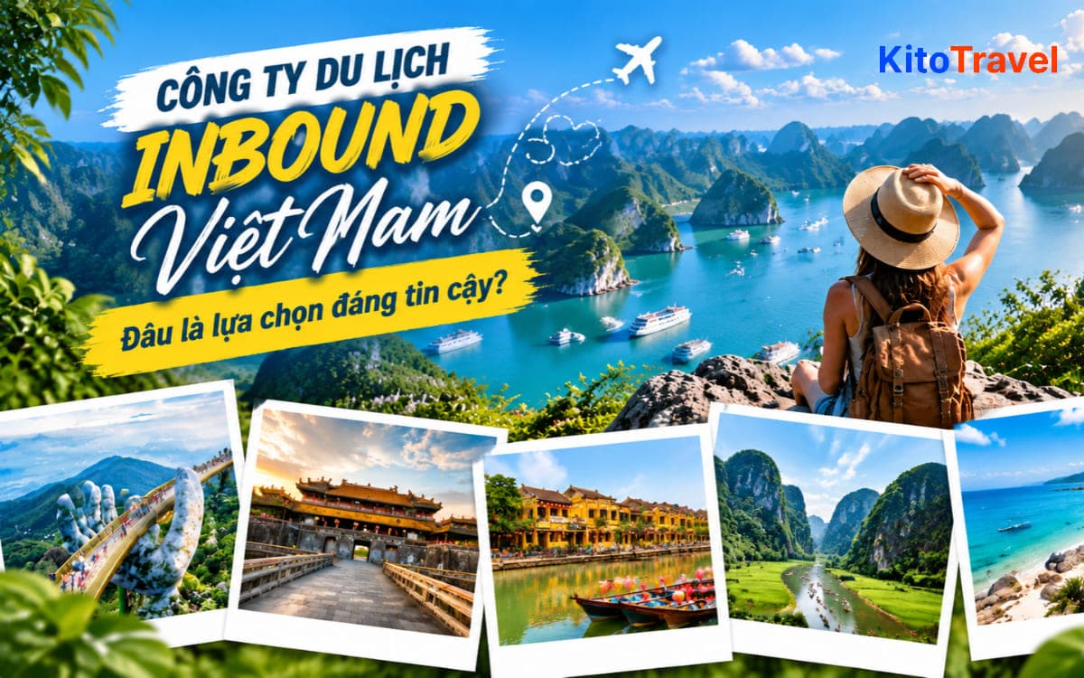 Công ty du lịch inbound Việt Nam: Đâu là lựa chọn đáng tin?