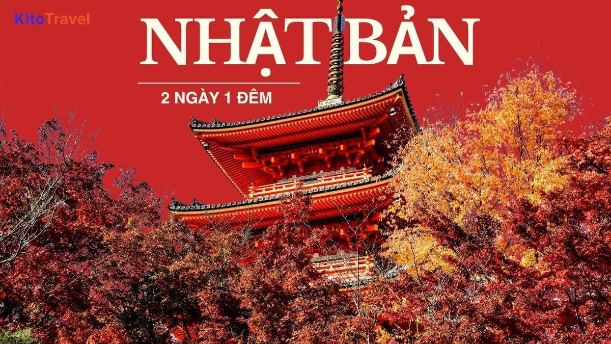 Du lịch Nhật Bản 2 ngày 1 đêm cho người mới bắt đầu