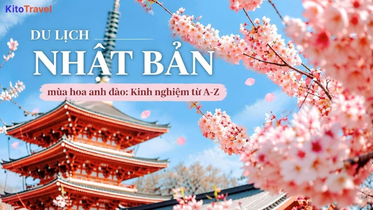 Du lịch Nhật Bản mùa hoa anh đào: Kinh nghiệm từ A-Z