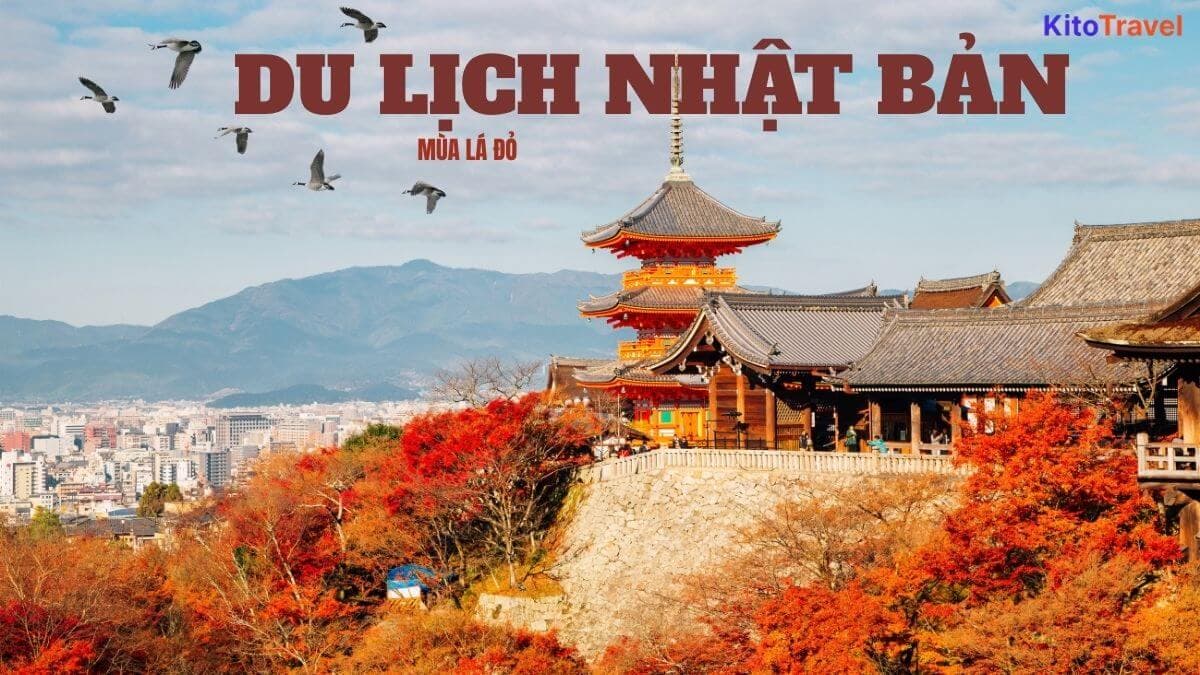 Du lịch Nhật Bản mùa lá đỏ: Khám phá 11 địa điểm ngắm lá đỏ tuyệt đẹp
