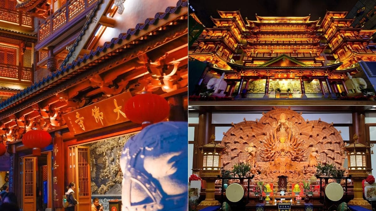 Tour Tết 5 ngày 4 đêm Hong Kong - Disneyland - Thẩm Quyến - Quảng Châu - Chu Hải - ảnh 11