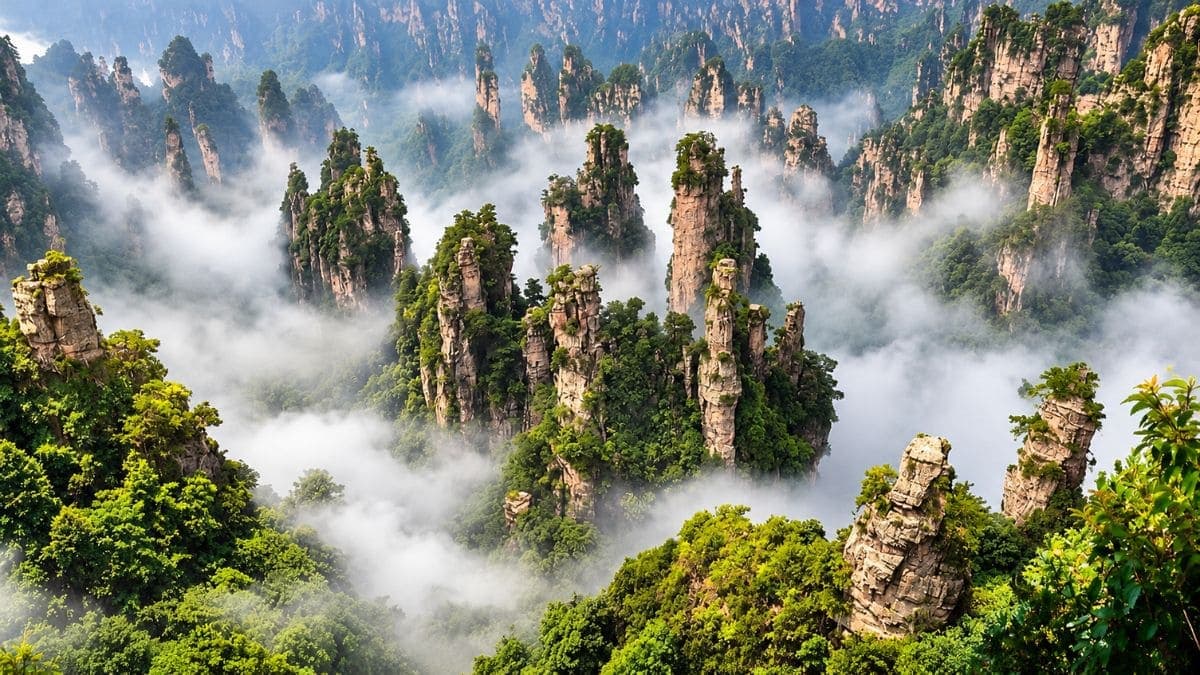 Tour Trùng Khánh - Phượng Hoàng Cổ Trấn - Trương Gia Giới 5 ngày 5 đêm - ảnh 18