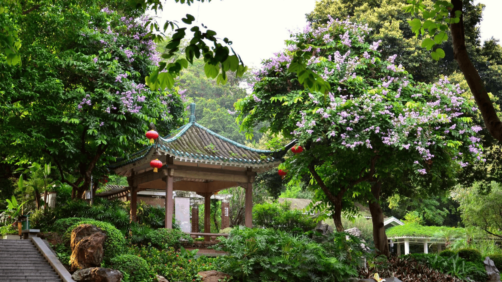 Tour Trung Quốc 5 Ngày 4 Đêm: Hong Kong - Thẩm Quyến - Quảng Châu - Chu Hải - ảnh 6