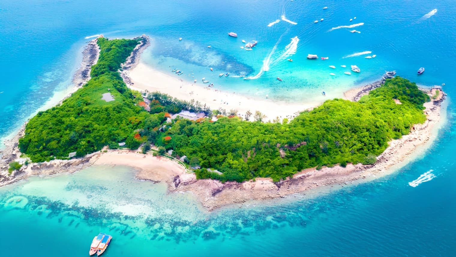 Đảo Coral