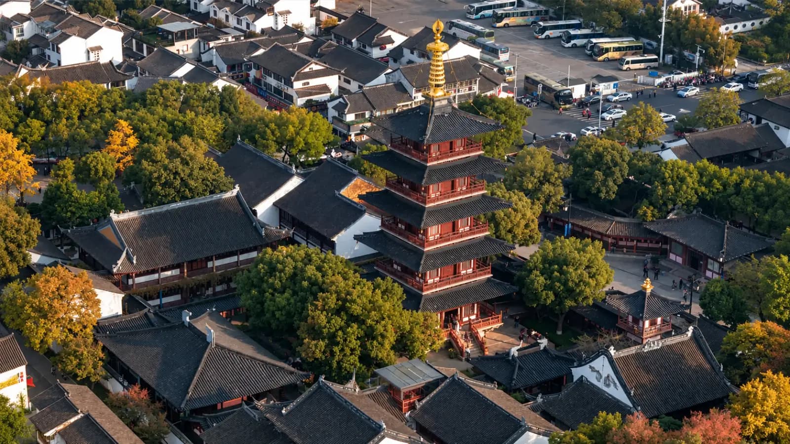 Tour Tết Trung Quốc 5N4Đ: Du Xuân Giang Nam – Thượng Hải – Ô Trấn - ảnh 3