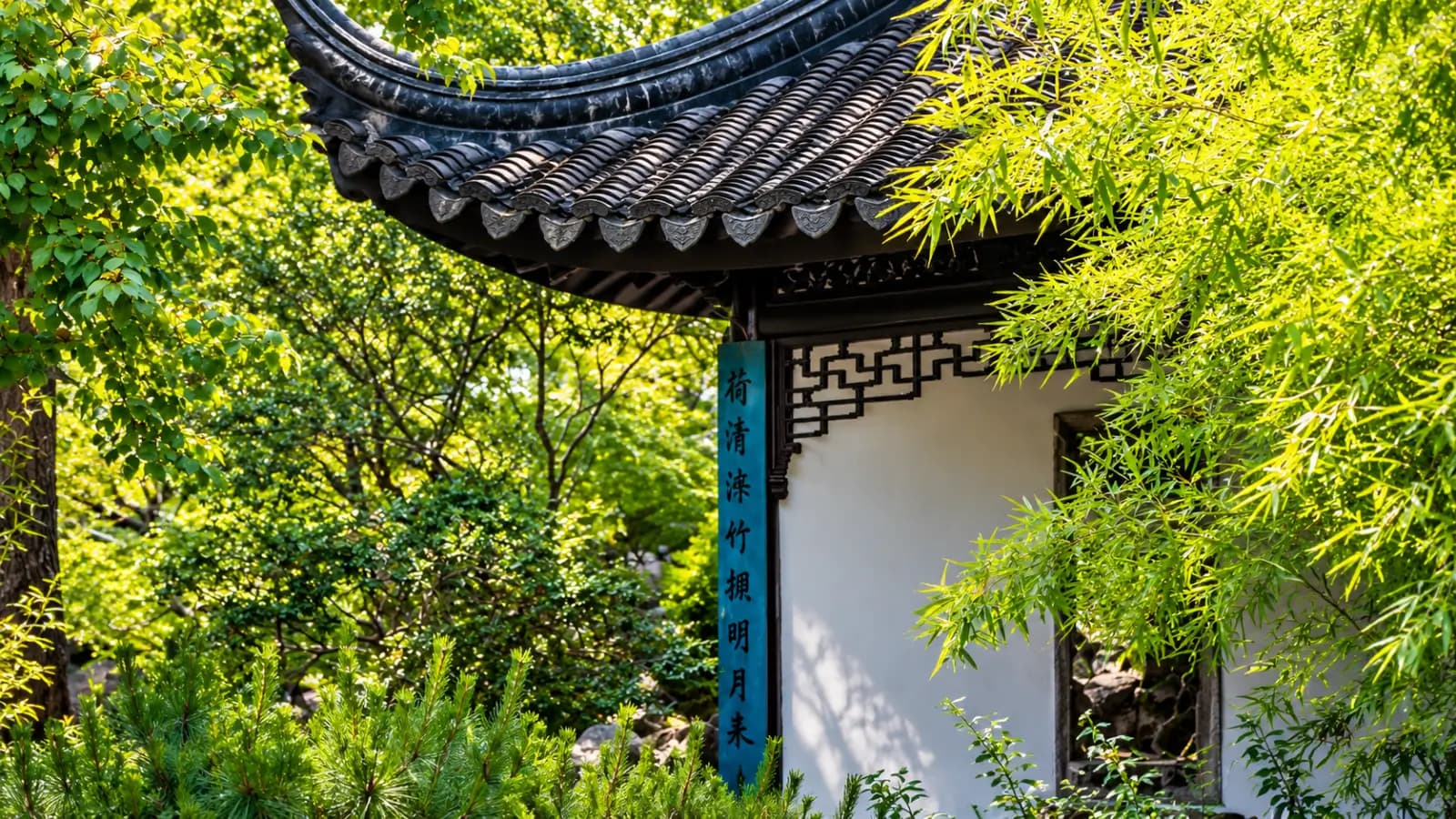 Tour Tết Trung Quốc 5N4Đ: Du Xuân Giang Nam – Thượng Hải – Ô Trấn - ảnh 11