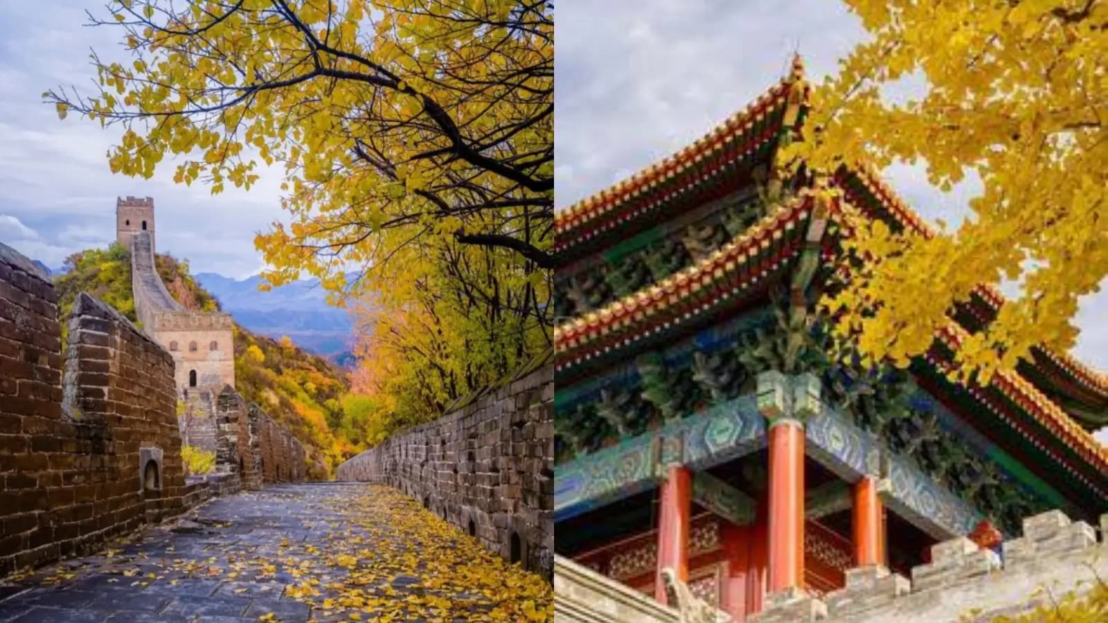 Khám Phá Trung Quốc 7 Ngày 6 Đêm: Hàng Châu -Thượng Hải - ảnh 14
