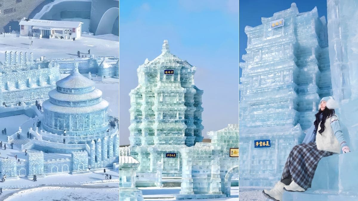 Tour Trung Quốc 5 ngày 4 đêm: Cáp Nhĩ Tân - Làng tuyết Hương - Trượt tuyết tại Yabuli - ảnh 13