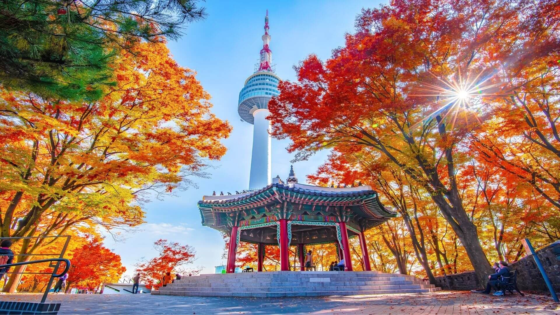 combo hà nội-seoul 3 ngày 2 đêm — ảnh 2