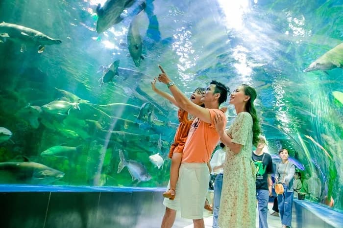 Combo du lịch VinHolidays Fiesta Phú Quốc — ảnh 4