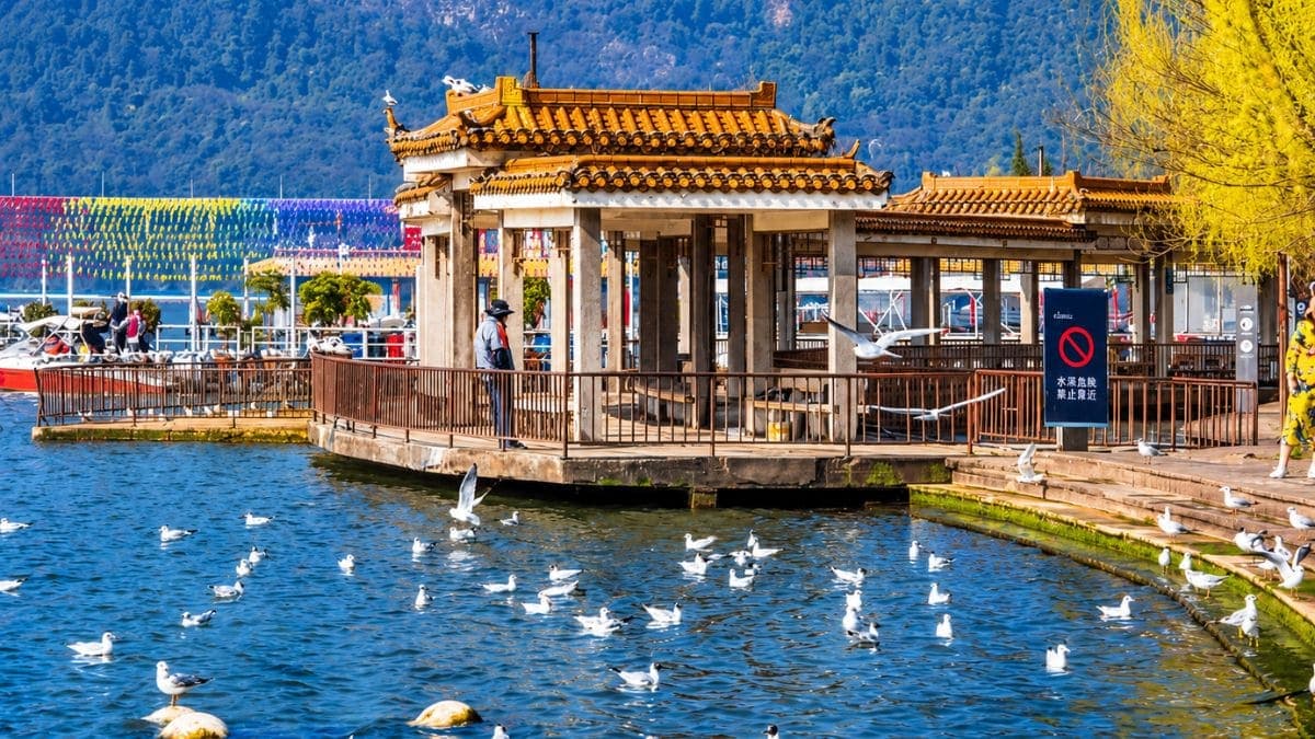 Tour Côn Minh - Đại Lý - Lệ Giang - Shangrila 8 ngày 7 đêm - ảnh 13