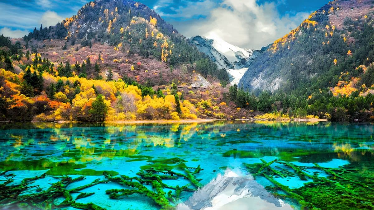 Tour Thành Đô - Đạo Thành -  Á Đinh 8 ngày 8 đêm - ảnh 11