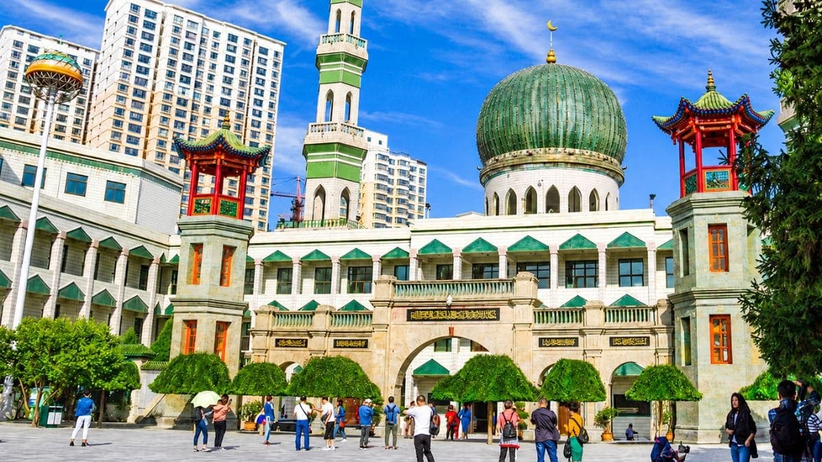 Tour Tây Tạng 7 ngày 6 đêm: Xining - Lhasa - Shigatse - ảnh 2