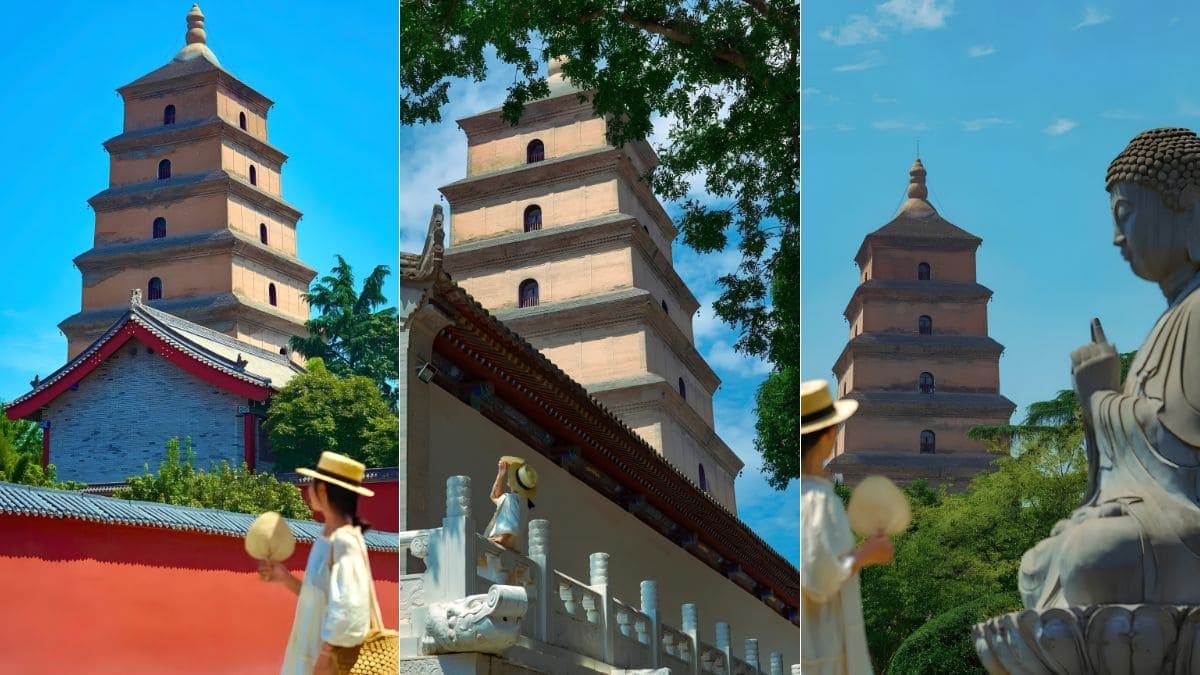 Tour Tây An - Lạc Dương - Trịnh Châu 5 ngày 4 đêm từ Hà Nội - ảnh 3