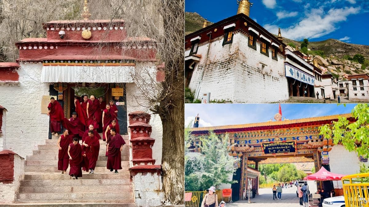 Tour Tây Tạng 7 ngày 6 đêm: Xining - Lhasa - Shigatse - ảnh 14
