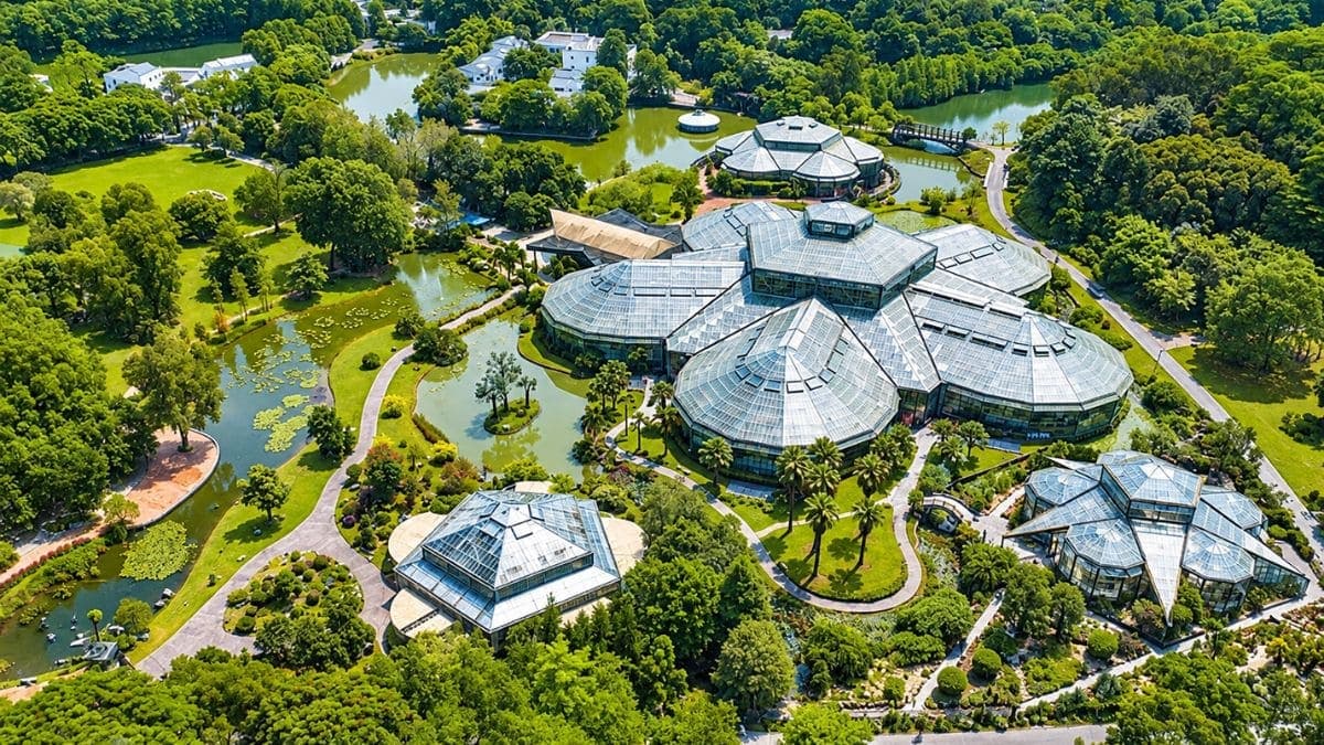 Tour Bắc Kinh - Tô Châu - Hàng Châu - Thượng Hải 6 ngày 5 đêm - ảnh 2