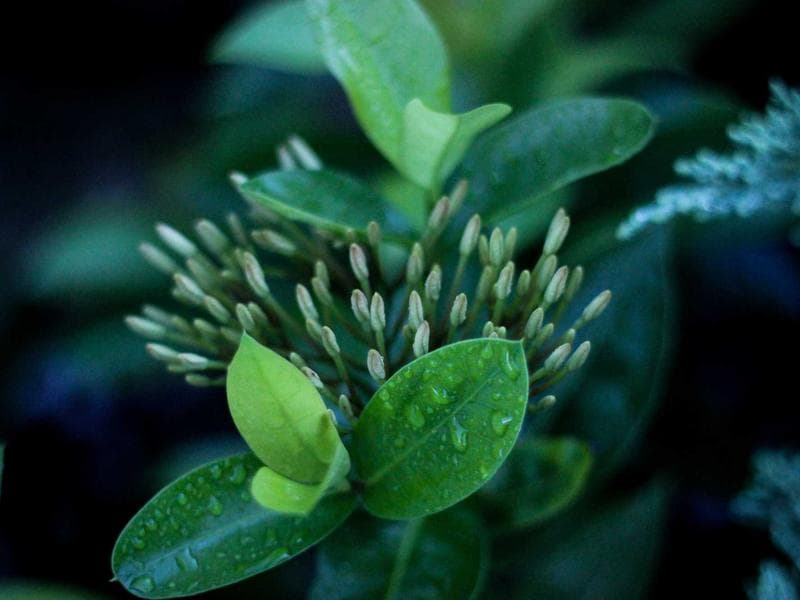 Tự do khám phá ẩm thực địa phương