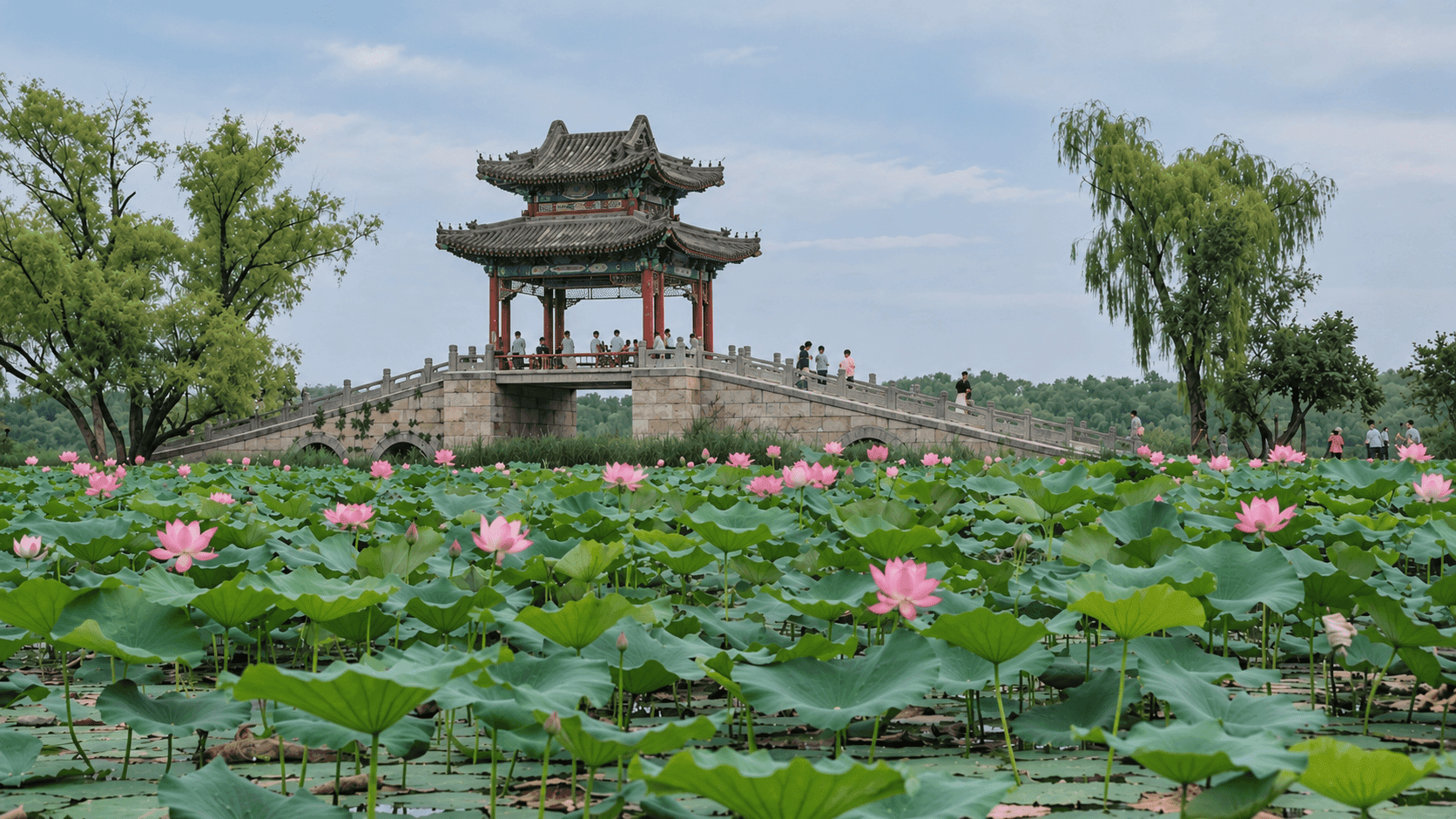 Người đi lần đầu