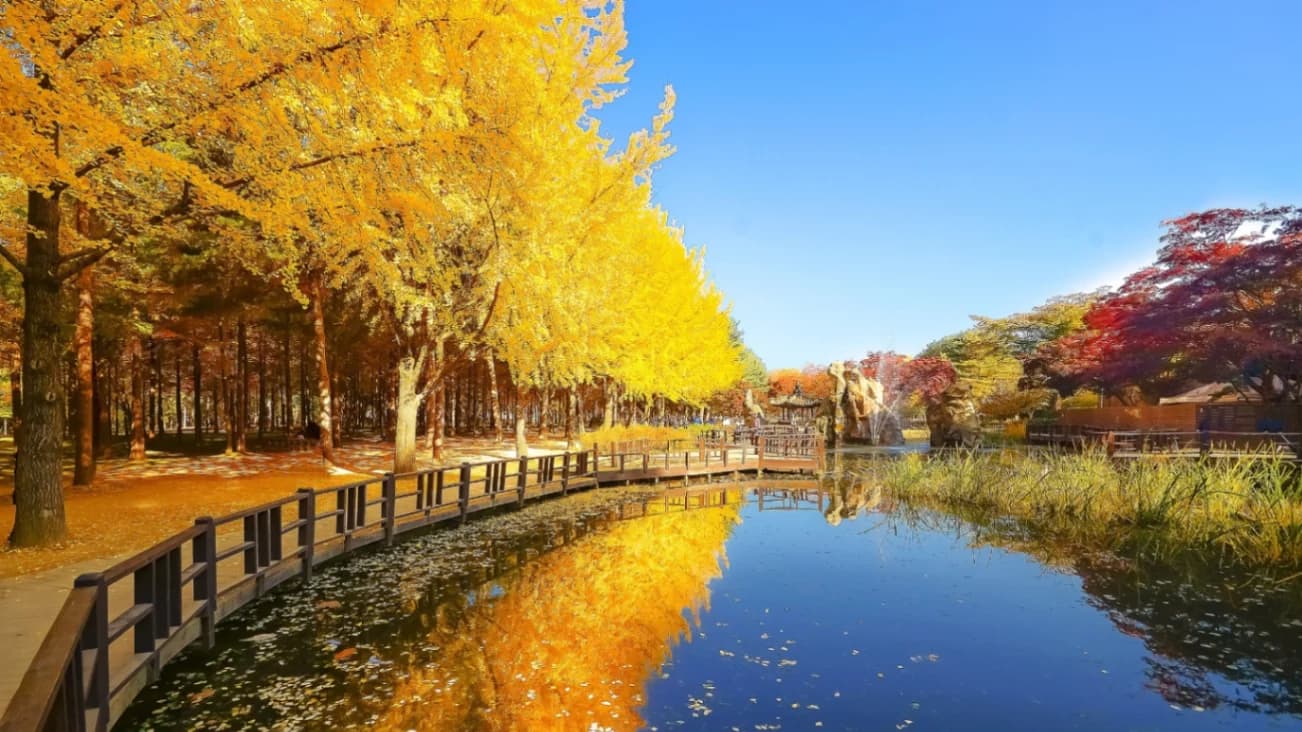 TOUR HÀN QUỐC 5N4Đ: SEOUL NAMI, EVERLAND, HÁI NÔNG SẢN, LÀNG CỔ NAMSAN