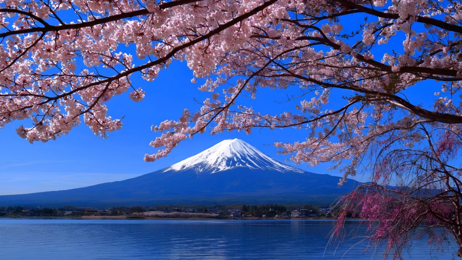NHẬT BẢN 5N4Đ: TOKYO - FUJI - HÁI DÂU TÂY - YOKOHAMA - NARITA