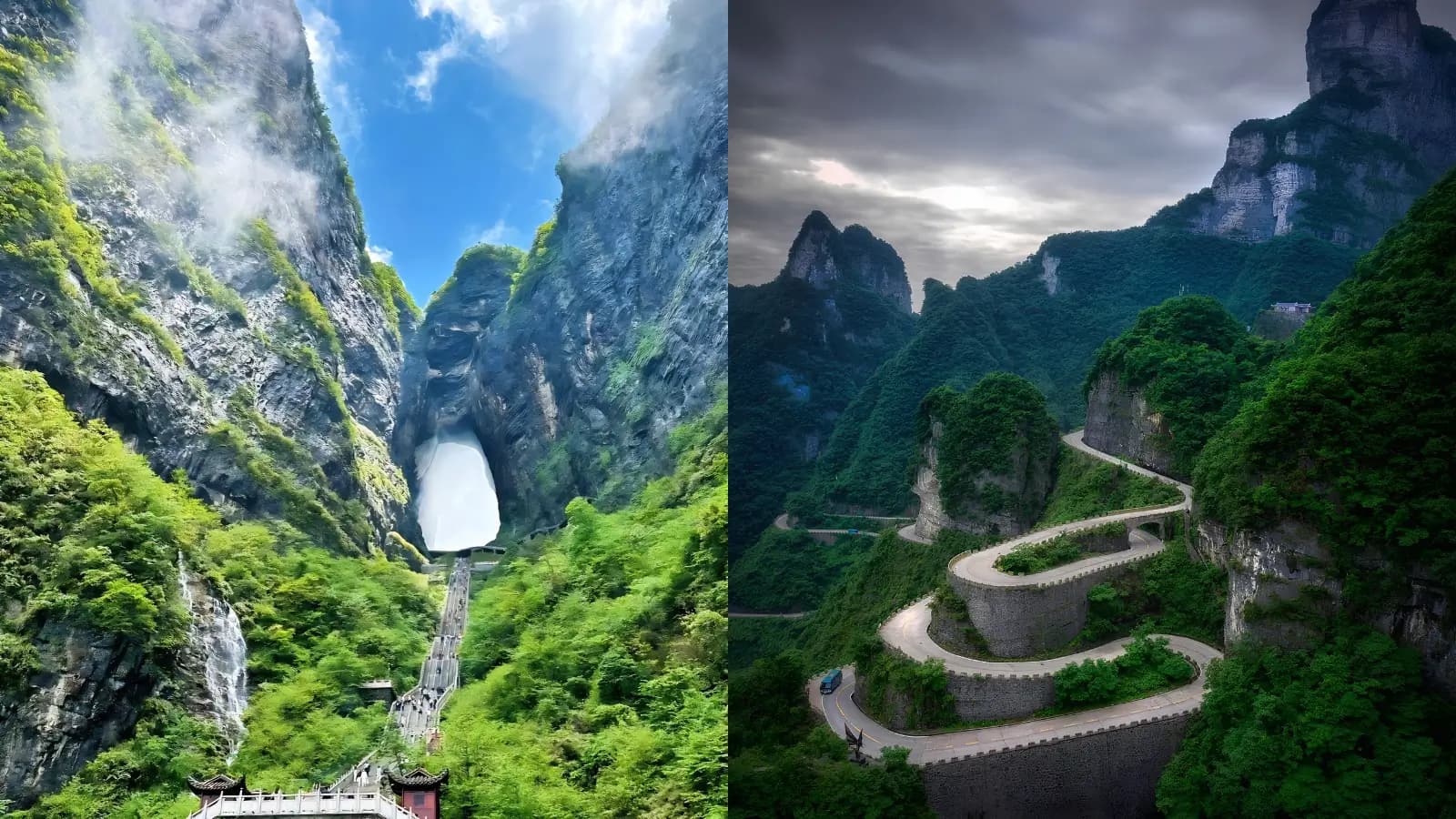Người đi lần đầu