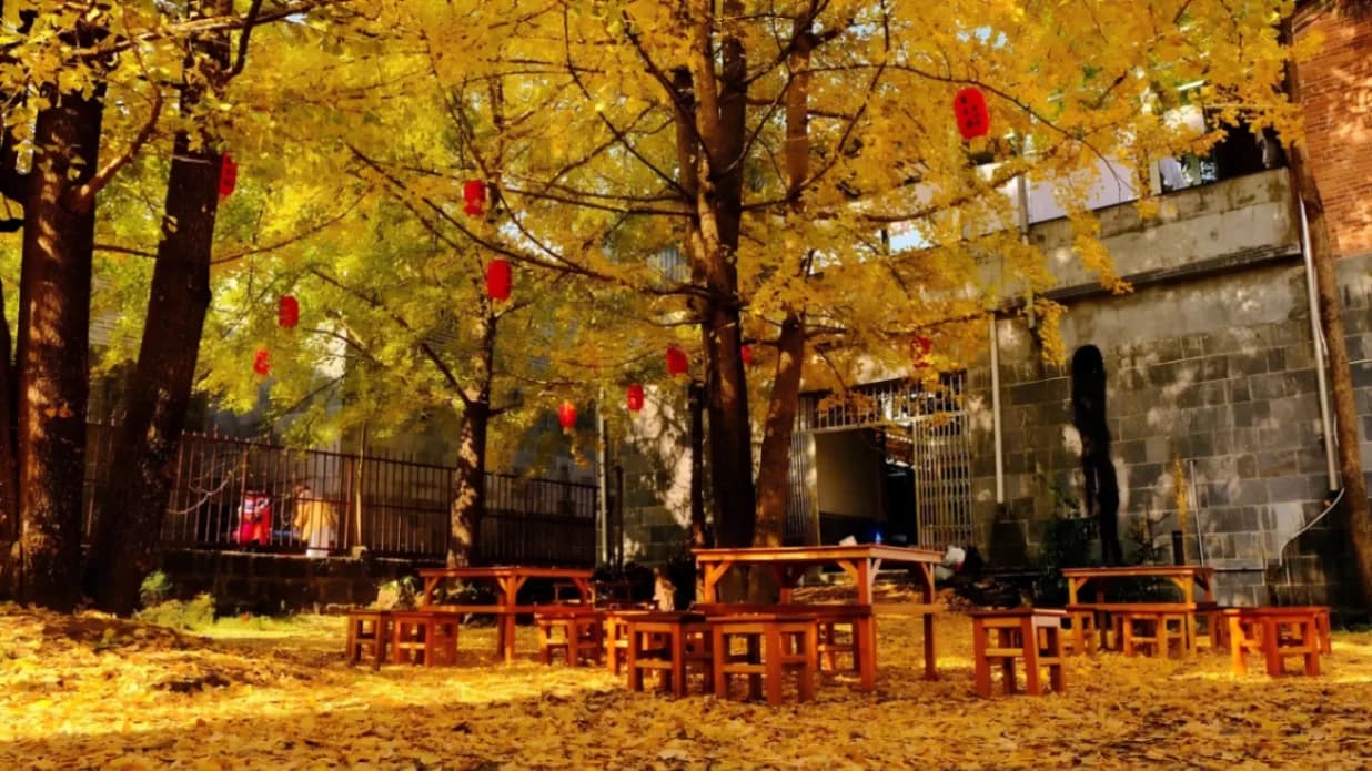 Người đi lần đầu