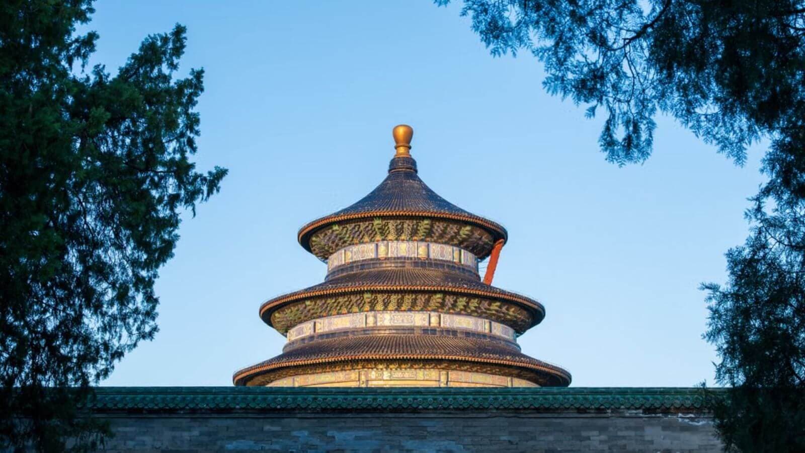 Người đi lần đầu