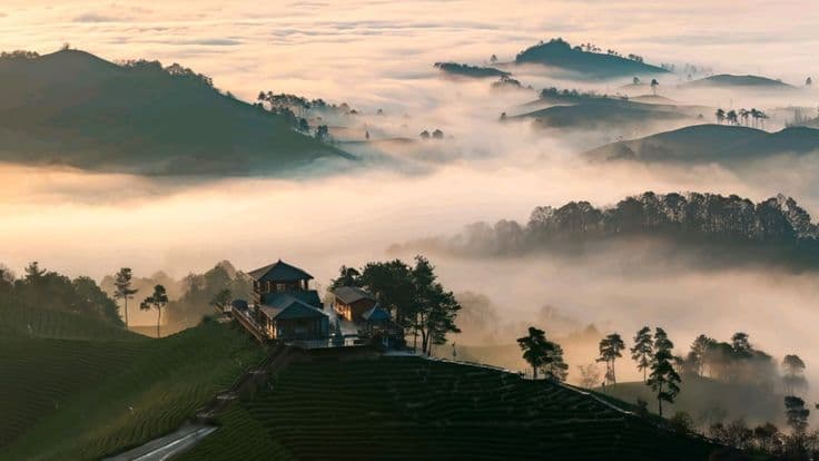 Gia đình có trẻ nhỏ