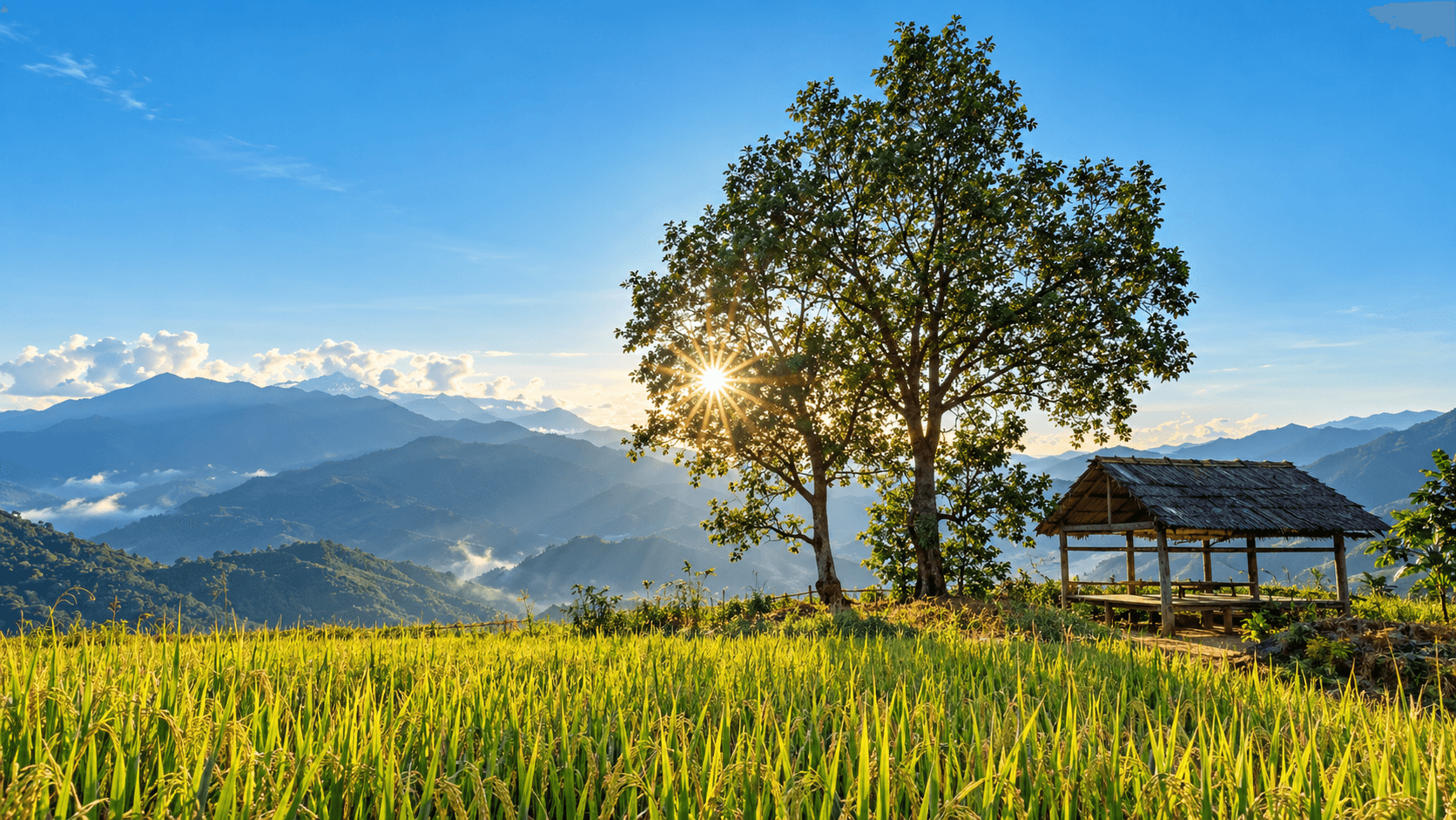 Gia đình có trẻ nhỏ