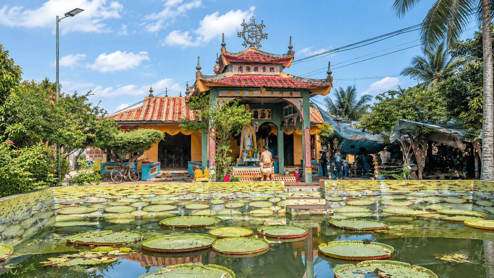 Người đi lần đầu