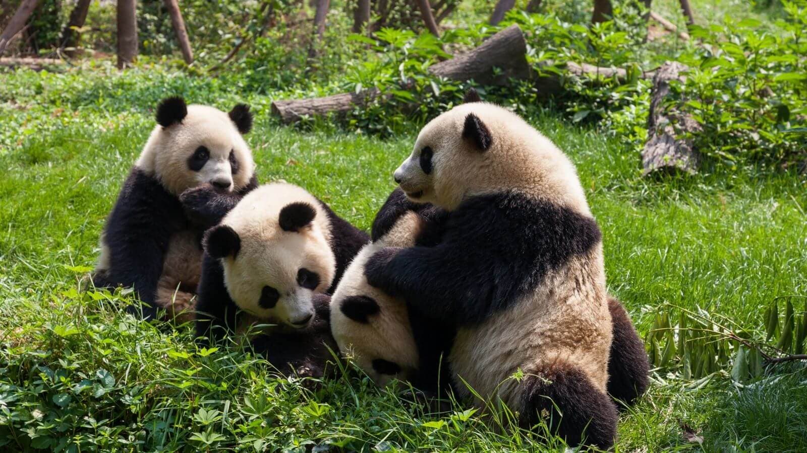 Gia đình có trẻ nhỏ
