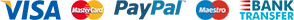 Visa Card