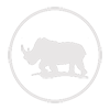 Eco & Wildlife Discovery